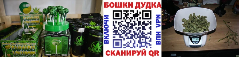 Купить закладки Жуковка Canna-Cookies марихуана