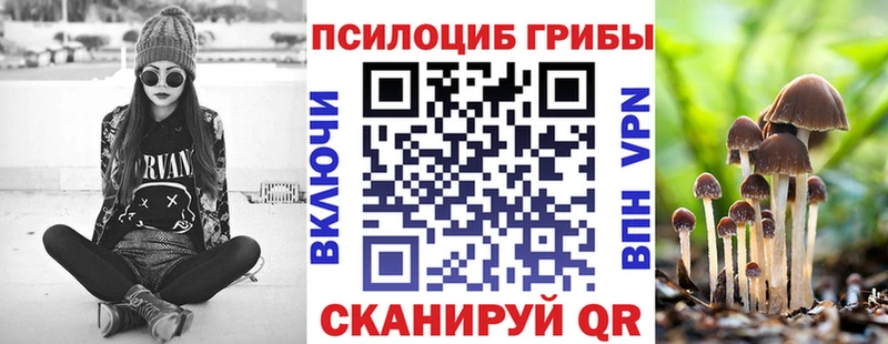 Галлюциногенные грибы прущие грибы  Купить  Жуковка 